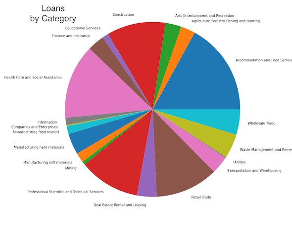 pie chart of loans by category